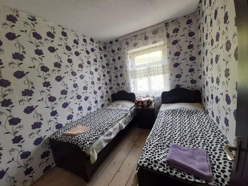 Guesthouse Lika أوشغولي المظهر الخارجي الصورة